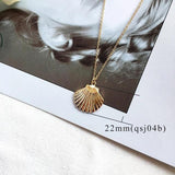 Trendy Sea Shell Earrings